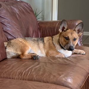 Meet your Posher, Mandy